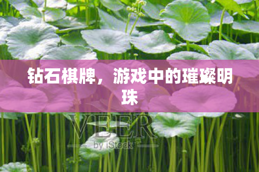 钻石棋牌，游戏中的璀璨明珠