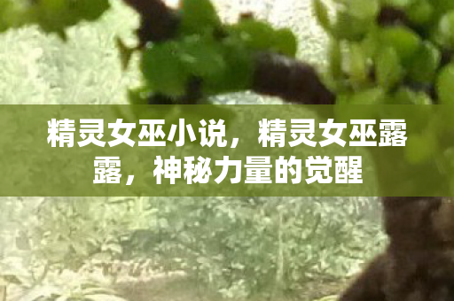 精灵女巫小说，精灵女巫露露，神秘力量的觉醒