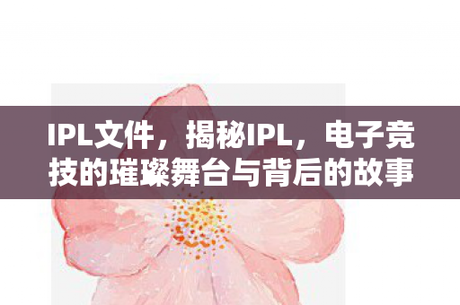 IPL文件，揭秘IPL，电子竞技的璀璨舞台与背后的故事