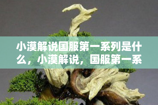 小漠解说国服第一系列是什么，小漠解说，国服第一系列之荣耀崛起