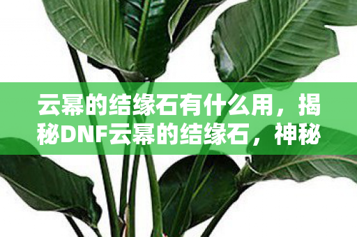 云幂的结缘石有什么用，揭秘DNF云幂的结缘石，神秘道具背后的故事