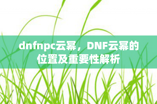 dnfnpc云幂，DNF云幂的位置及重要性解析
