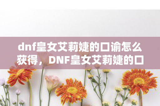 dnf皇女艾莉婕的口谕怎么获得，DNF皇女艾莉婕的口谰，神秘力量的启示