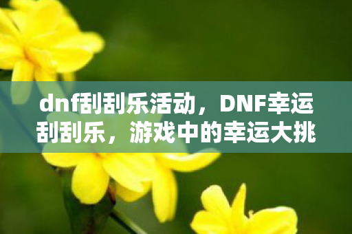 dnf刮刮乐活动，DNF幸运刮刮乐，游戏中的幸运大挑战