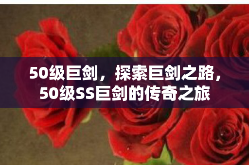 50级巨剑，探索巨剑之路，50级SS巨剑的传奇之旅
