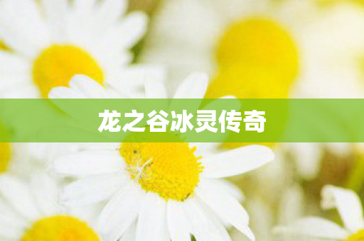 龙之谷冰灵传奇