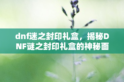 dnf迷之封印礼盒，揭秘DNF谜之封印礼盒的神秘面纱