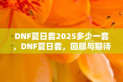 DNF夏日套2025多少一套，DNF夏日套，回顾与期待