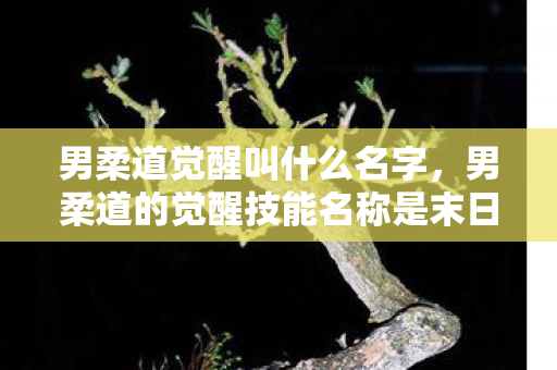 男柔道觉醒叫什么名字，男柔道的觉醒技能名称是末日风暴。下面为您详细介绍这一技能以及相关内容，并以一个自媒体作者的角度撰写一篇关于男柔道的文章