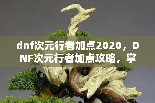dnf次元行者加点2020，DNF次元行者加点攻略，掌握核心技能，成为战场强者