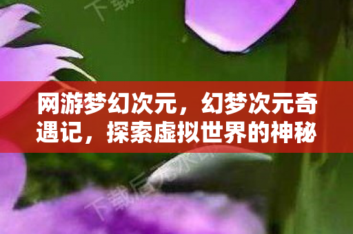 网游梦幻次元，幻梦次元奇遇记，探索虚拟世界的神秘面纱