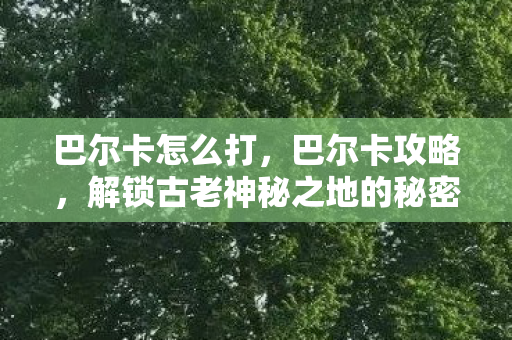 巴尔卡怎么打，巴尔卡攻略，解锁古老神秘之地的秘密