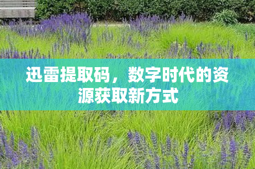 迅雷提取码，数字时代的资源获取新方式