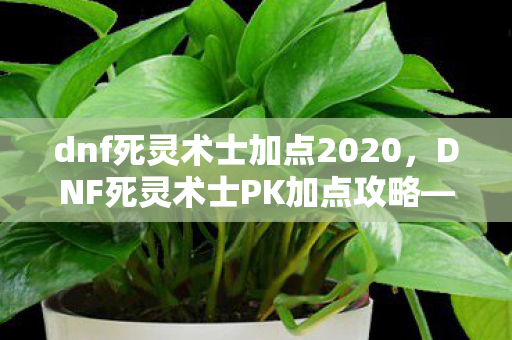 dnf死灵术士加点2020，DNF死灵术士PK加点攻略—掌握技能，成为决斗高手