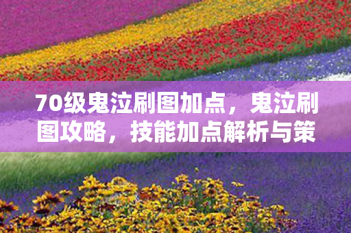 70级鬼泣刷图加点，鬼泣刷图攻略，技能加点解析与策略