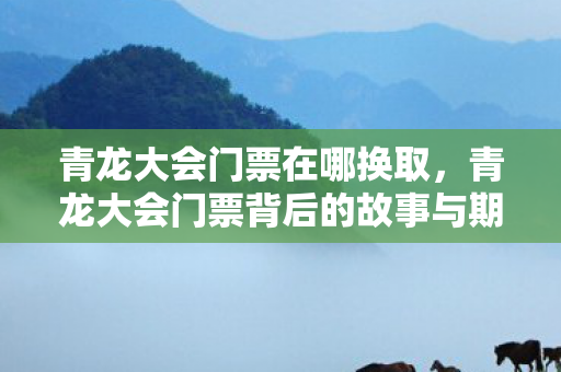 青龙大会门票在哪换取，青龙大会门票背后的故事与期待