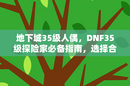 地下城35级人偶，DNF35级探险家必备指南，选择合适的人偶助力冒险！