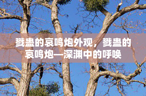 戮蛊的哀鸣炮外观，戮蛊的哀鸣炮—深渊中的呼唤