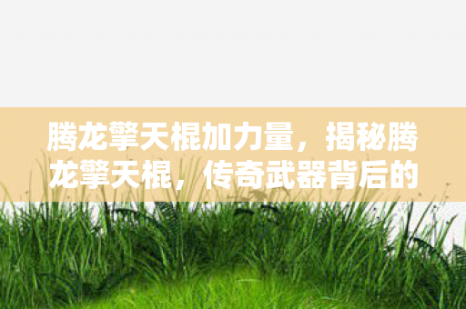 腾龙擎天棍加力量，揭秘腾龙擎天棍，传奇武器背后的故事