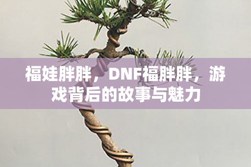 福娃胖胖，DNF福胖胖，游戏背后的故事与魅力