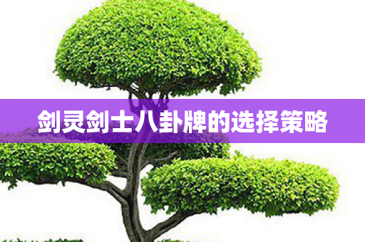 剑灵剑士八卦牌的选择策略