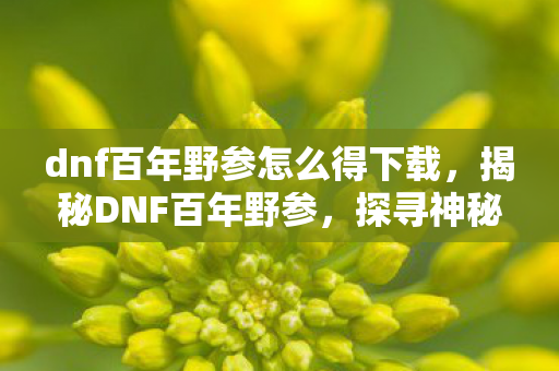 dnf百年野参怎么得下载，揭秘DNF百年野参，探寻神秘传说中的极品材料