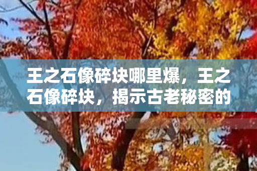 王之石像碎块哪里爆，王之石像碎块，揭示古老秘密的碎片