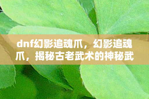 dnf幻影追魂爪，幻影追魂爪，揭秘古老武术的神秘武器