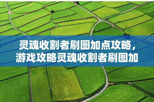 灵魂收割者刷图加点攻略，游戏攻略灵魂收割者刷图加点指南