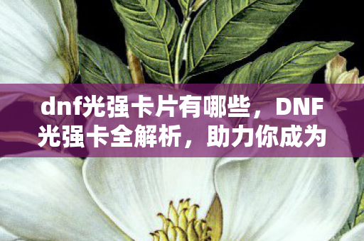 dnf光强卡片有哪些，DNF光强卡全解析，助力你成为战场上的闪耀之星