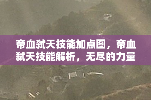 帝血弑天技能加点图，帝血弑天技能解析，无尽的力量与战斗艺术