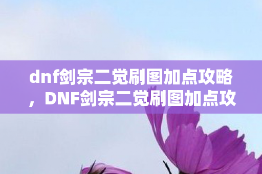 dnf剑宗二觉刷图加点攻略，DNF剑宗二觉刷图加点攻略，轻松提升战斗效率