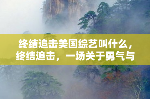 终结追击美国综艺叫什么，终结追击，一场关于勇气与智慧的较量