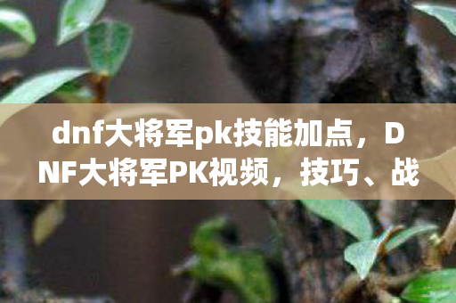 dnf大将军pk技能加点，DNF大将军PK视频，技巧、战术与操作的艺术展示