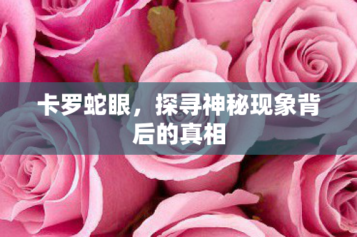 卡罗蛇眼，探寻神秘现象背后的真相