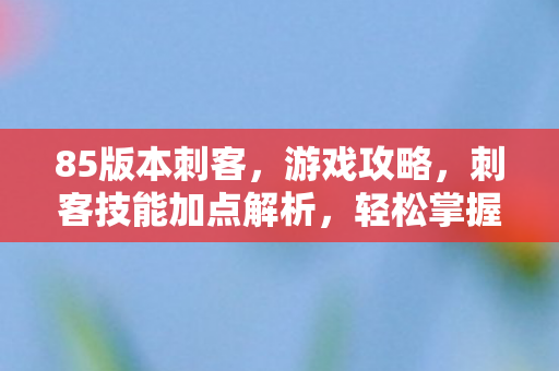 85版本刺客，游戏攻略，刺客技能加点解析，轻松掌握高效刷图技巧
