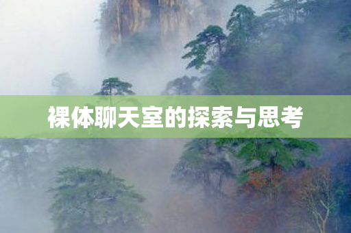 裸体聊天室的探索与思考