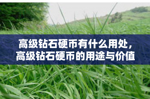 高级钻石硬币有什么用处，高级钻石硬币的用途与价值探索