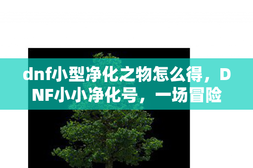 dnf小型净化之物怎么得，DNF小小净化号，一场冒险之旅的启程