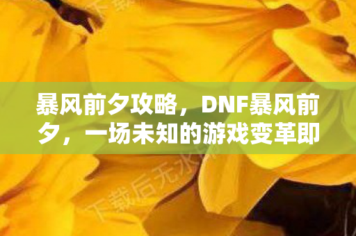 暴风前夕攻略，DNF暴风前夕，一场未知的游戏变革即将来临