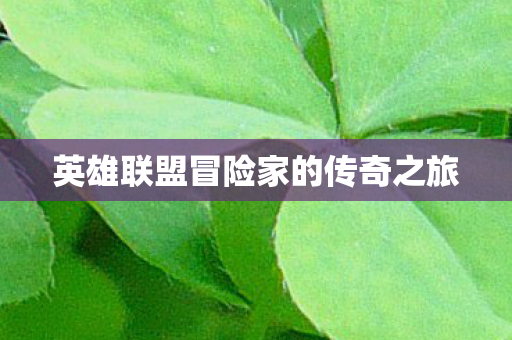 英雄联盟冒险家的传奇之旅