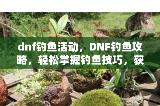 dnf钓鱼活动，DNF钓鱼攻略，轻松掌握钓鱼技巧，获取丰厚奖励