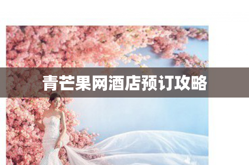 青芒果网酒店预订攻略