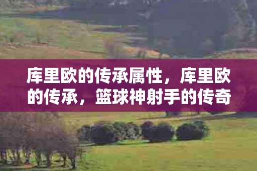 库里欧的传承属性，库里欧的传承，篮球神射手的传奇故事