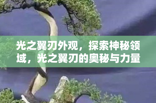 光之翼刃外观，探索神秘领域，光之翼刃的奥秘与力量