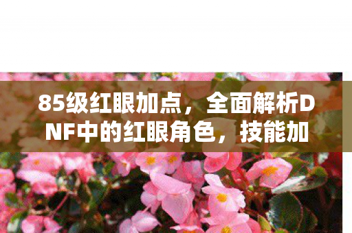 85级红眼加点，全面解析DNF中的红眼角色，技能加点与策略