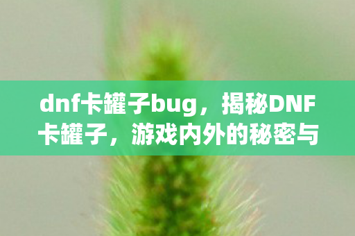 dnf卡罐子bug，揭秘DNF卡罐子，游戏内外的秘密与策略