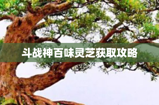 斗战神百味灵芝获取攻略