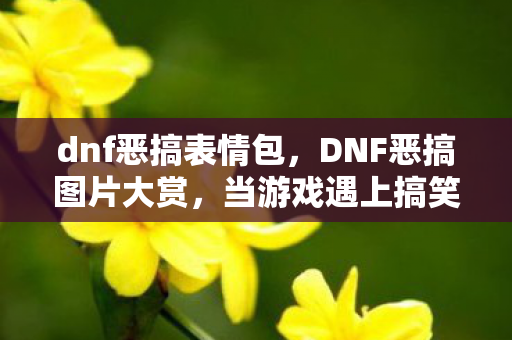 dnf恶搞表情包，DNF恶搞图片大赏，当游戏遇上搞笑艺术