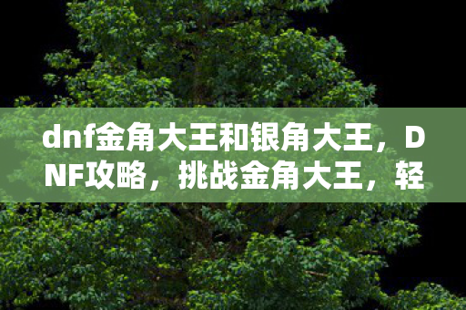 dnf金角大王和银角大王，DNF攻略，挑战金角大王，轻松掌握制胜之道
